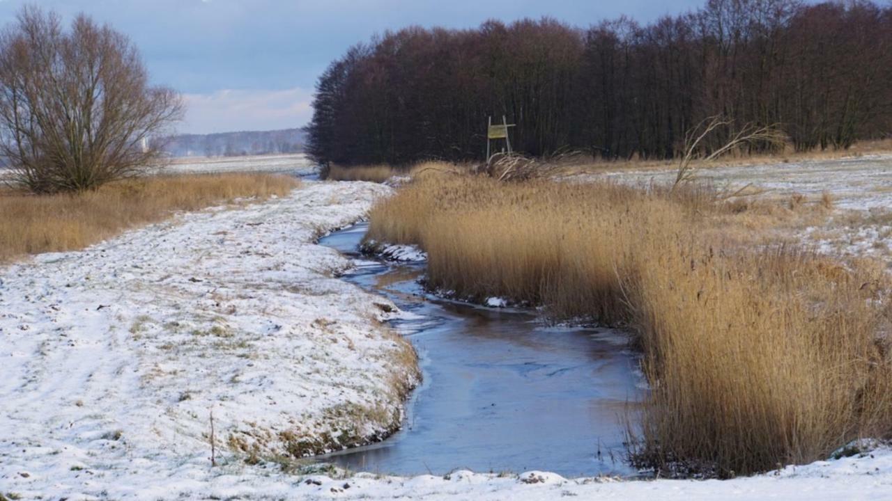 Fischerhus In Krummin - nur für Familien Exterior foto